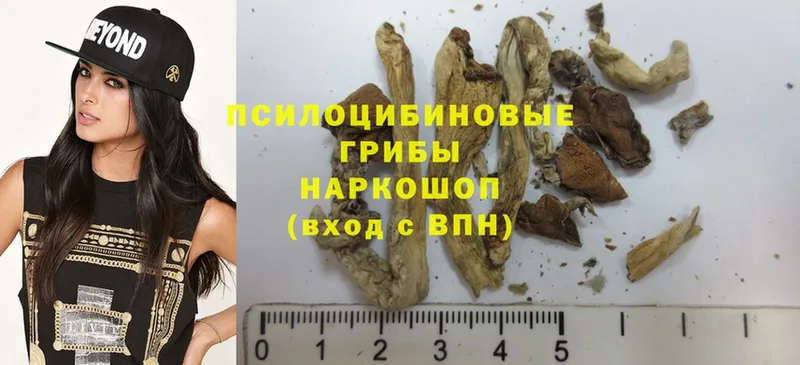 kraken маркетплейс  Заринск  Псилоцибиновые грибы Magic Shrooms 